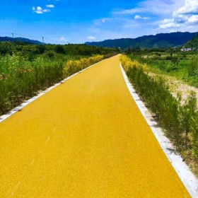 遼寧阜新市彩色透水混凝土 透水地坪粘接料廠家 透水砼顏色料 透水地坪粘接膠 透水地坪報(bào)價(jià) 批發(fā)價(jià)格