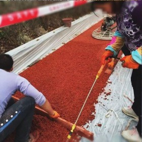 四川省都江堰市彩色生態(tài)透水混凝土地坪  山西太原市透水混凝土里面 透水混凝土施工價格 彩色透水混凝土材料生產(chǎn)廠家   壓?；炷敛牧蠌S家 透水粘接劑廠家送貨到工地