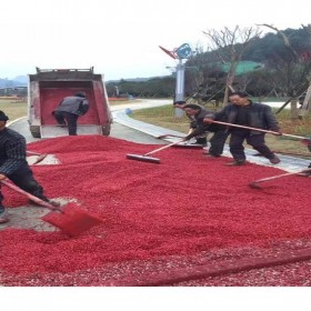重慶市北碚區(qū) 彩色透水混凝土直銷 彩色透水路面加強(qiáng)劑 透水混凝土路面施工 透水路面增強(qiáng)劑 材料廠家全國(guó)施工