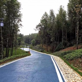 簡陽市 透水混凝土 生態(tài)透水地坪 海綿城市道路 廠家批發(fā)